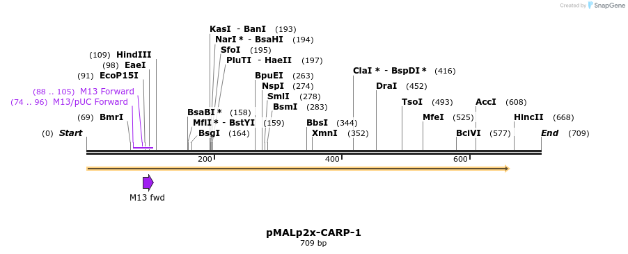 62456_map