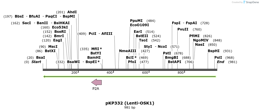 62458_map