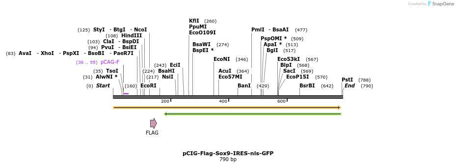 62459_map