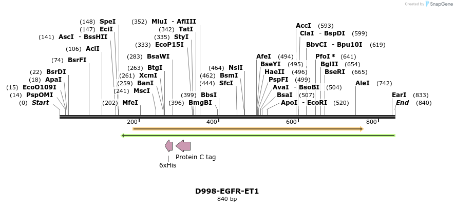 62461_map