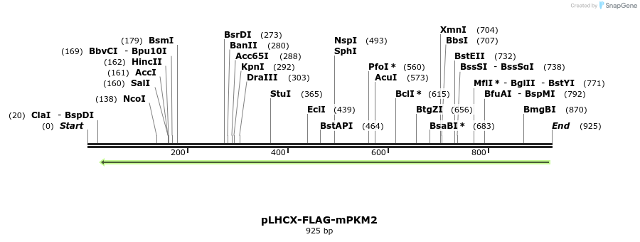 62466_map