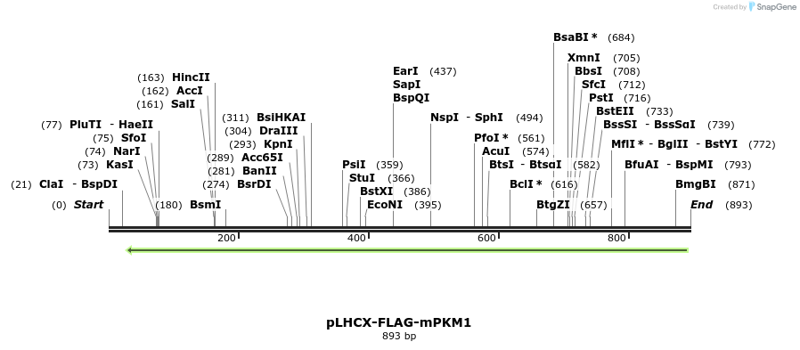62470_map