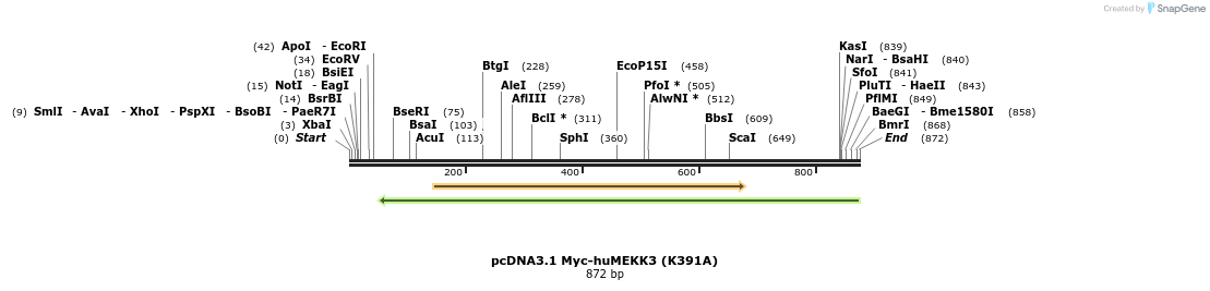 62474_map