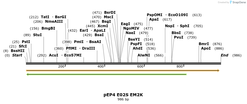 62475_map