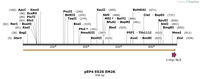 62477_map