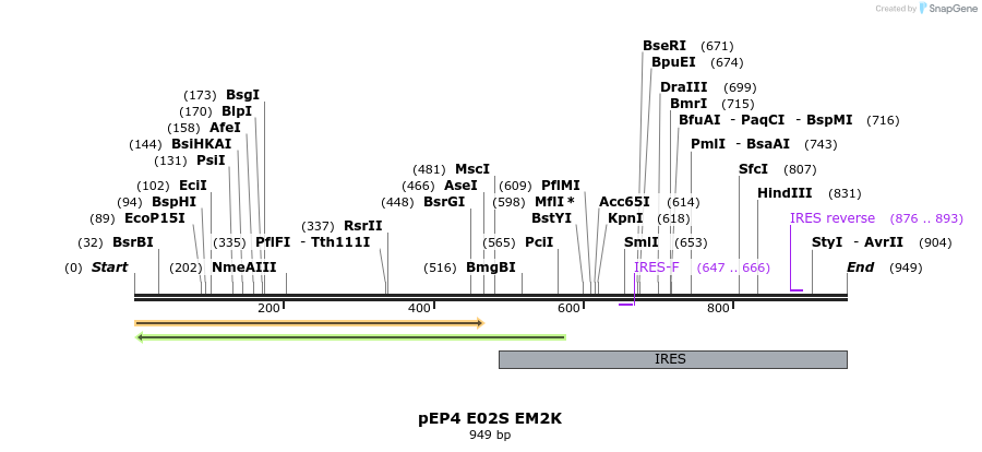 62479_map