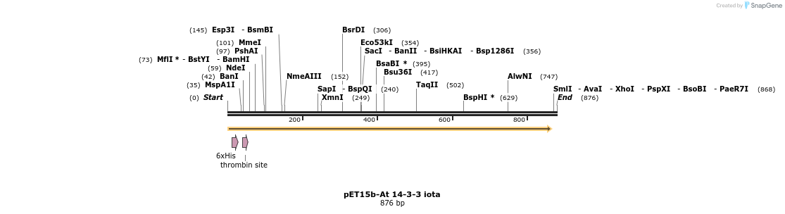 62484_map