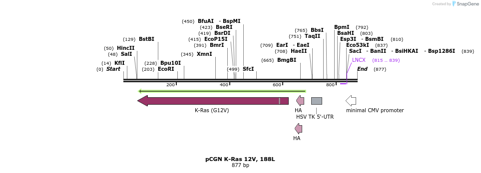 62489_map
