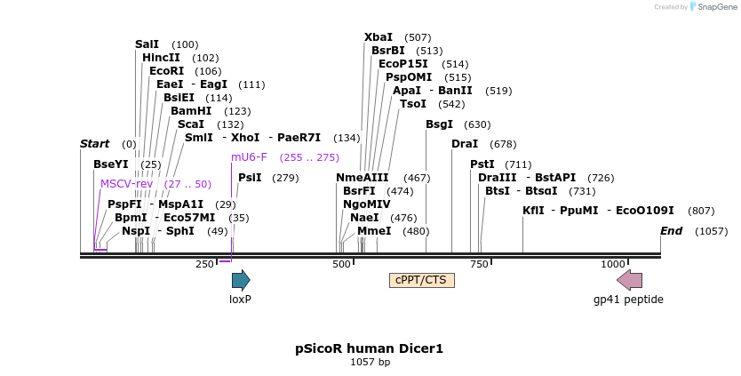 62490_map