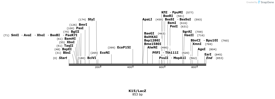 62494_map