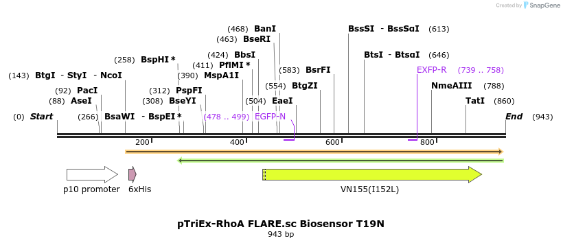 62501_map
