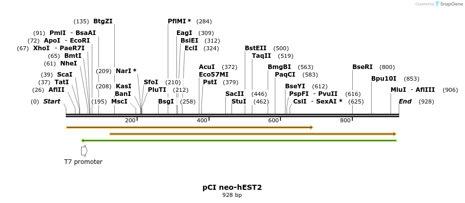 62503_map