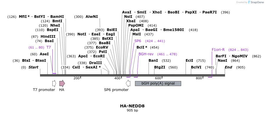 62510_map