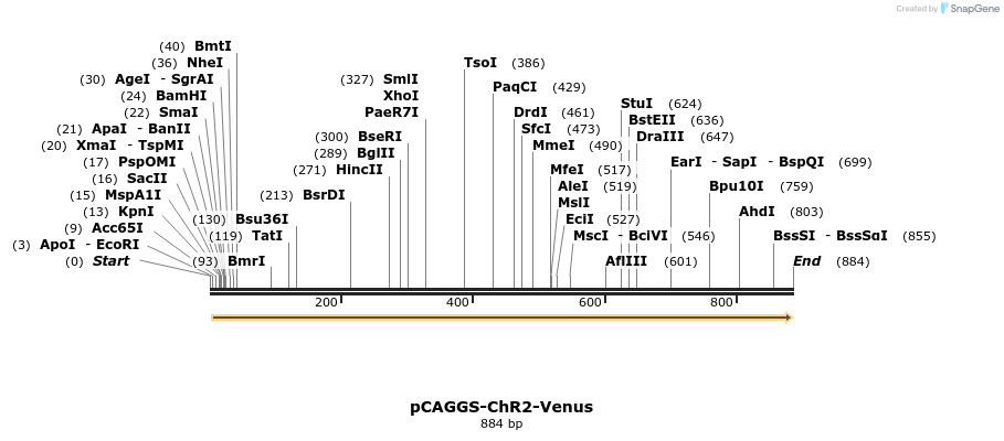 62512_map