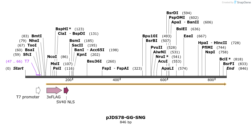 62532_map