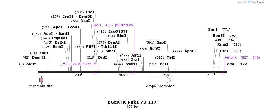 62533_map