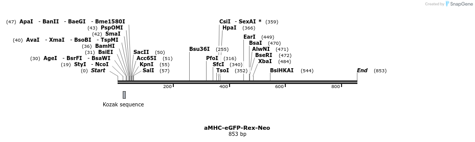 62534_map