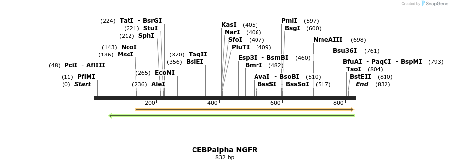 62539_map
