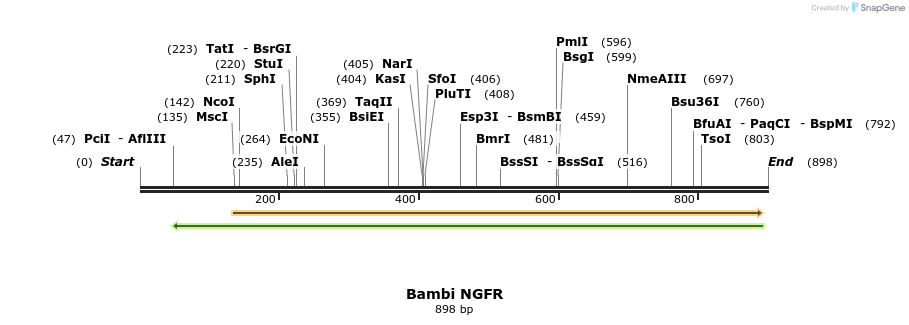 62540_map