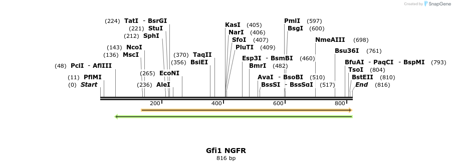 62541_map