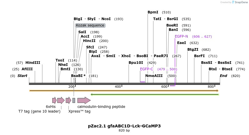 62545_map