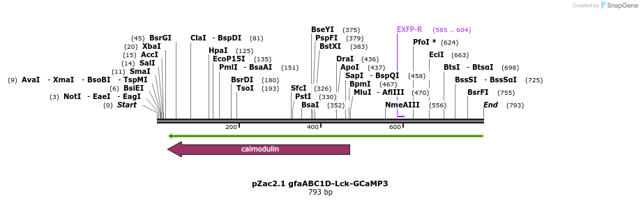 62546_map