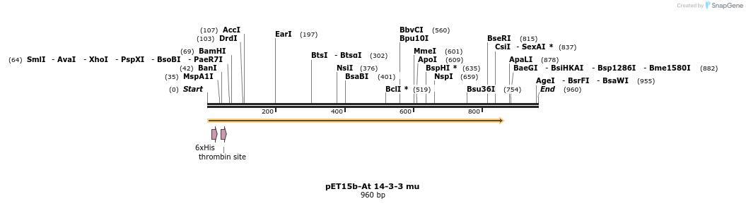 62551_map