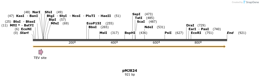 62553_map