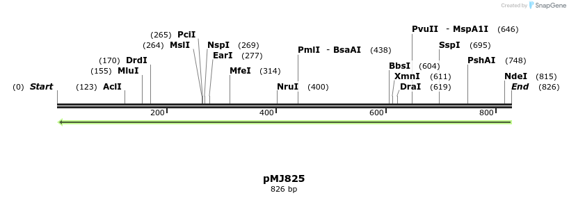 62567_map