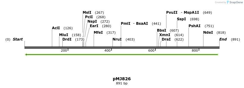 62568_map