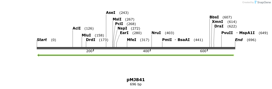 62569_map