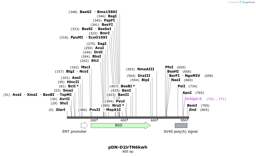 62570_map