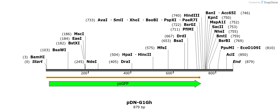 62572_map