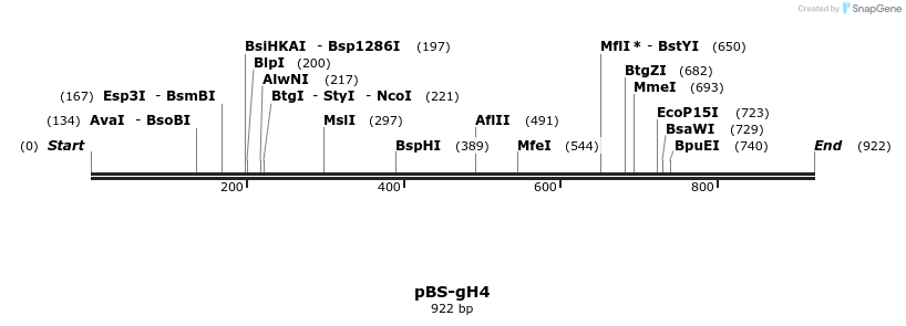 62580_map