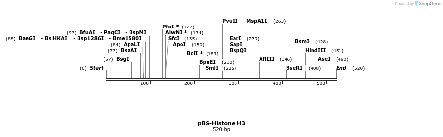 62585_map