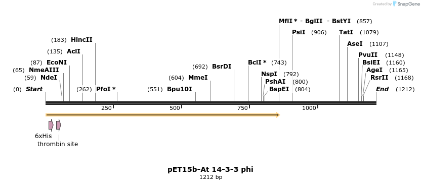 62588_map