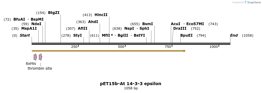 62590_map