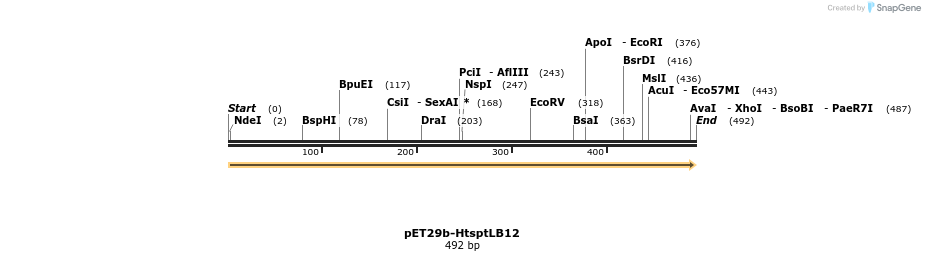 62618_map