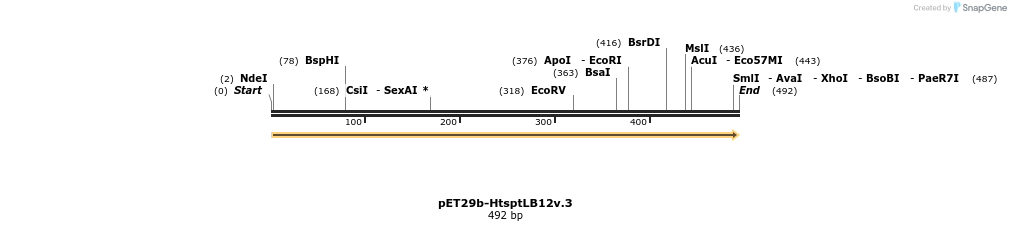 62619_map