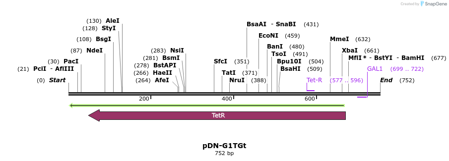 62629_map