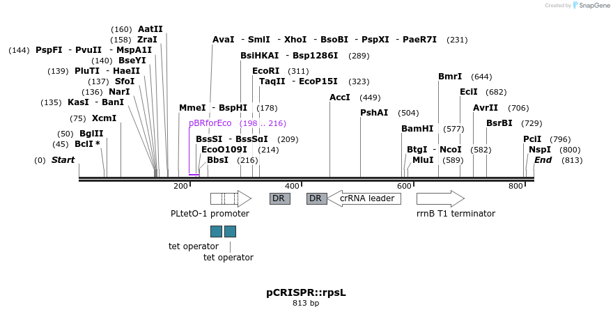 62630_map