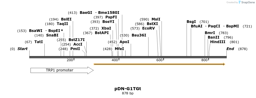 62631_map