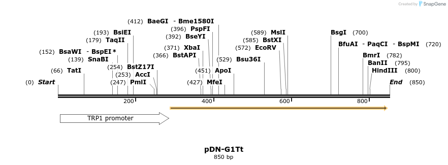 62633_map