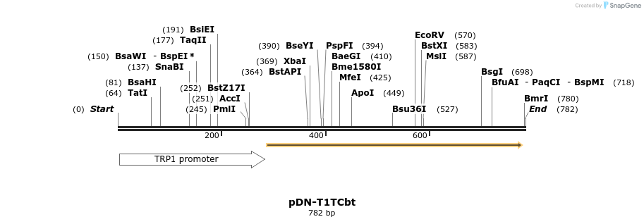 62636_map