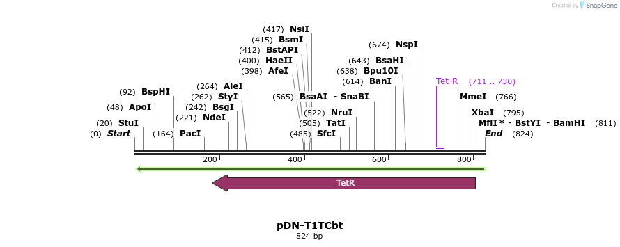 62639_map