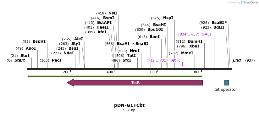 62642_map
