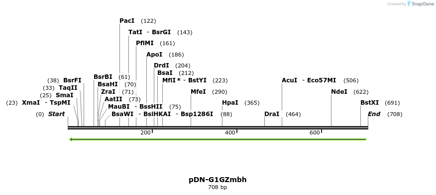 62648_map