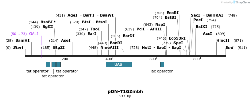 62649_map