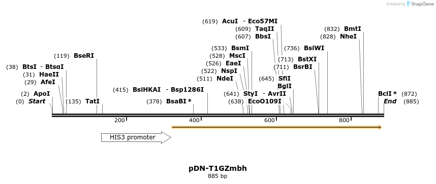 62650_map