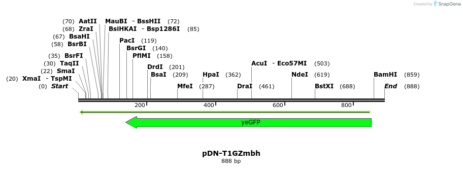 62651_map